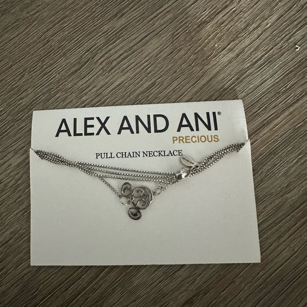 Alex and Ani Disney pull chain necklace